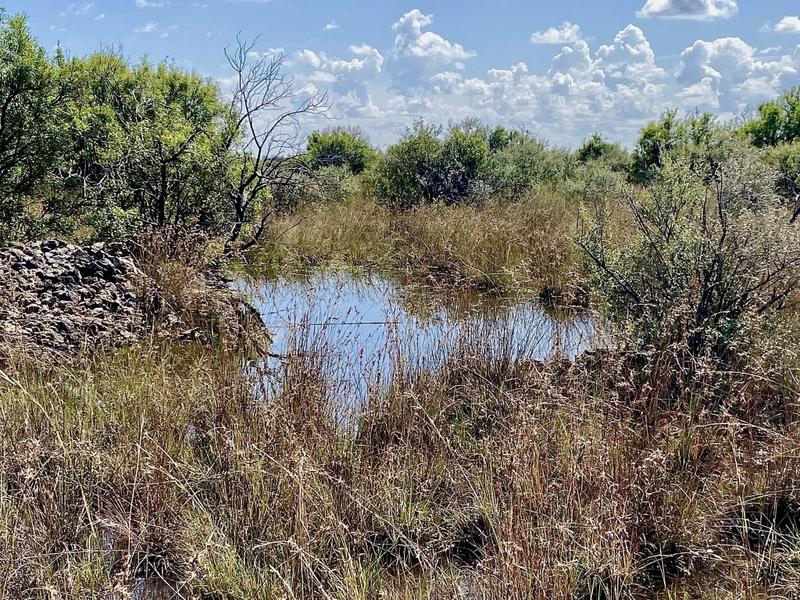 0 Bedroom Property for Sale in Reivilo Rural North West